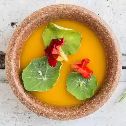 10 Edible Round Bowls - 2024