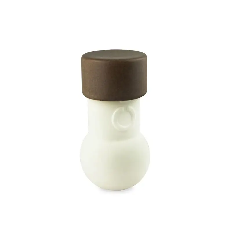 Ceramic Irrigation Pot for Plants 200ml