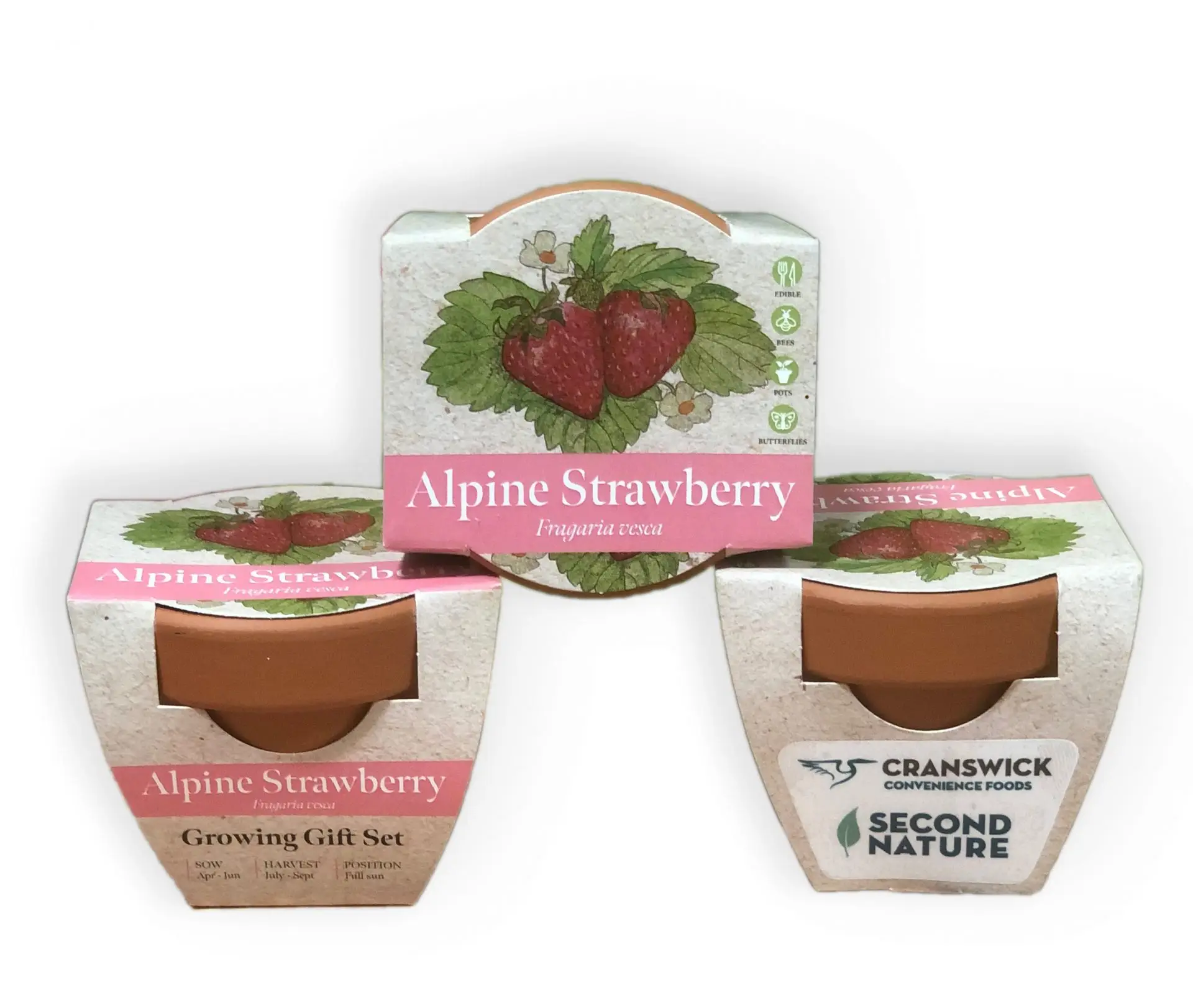 Mini Plant Kit with Custom Printed Label - 9524