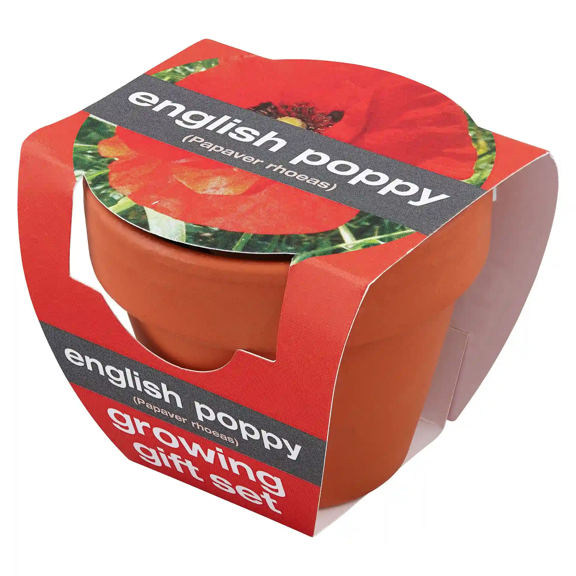 Poppy 