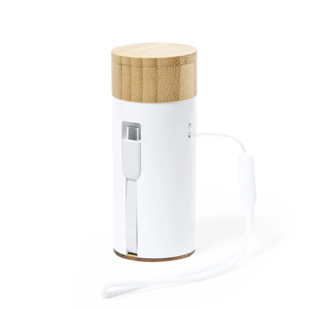 Power Bank Earphones
