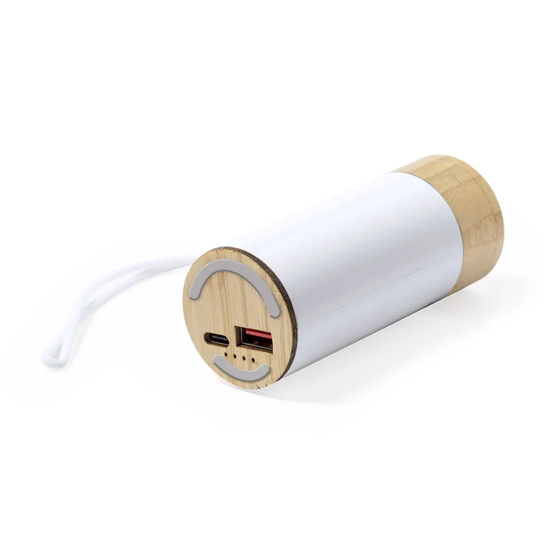 Power Bank Earphones