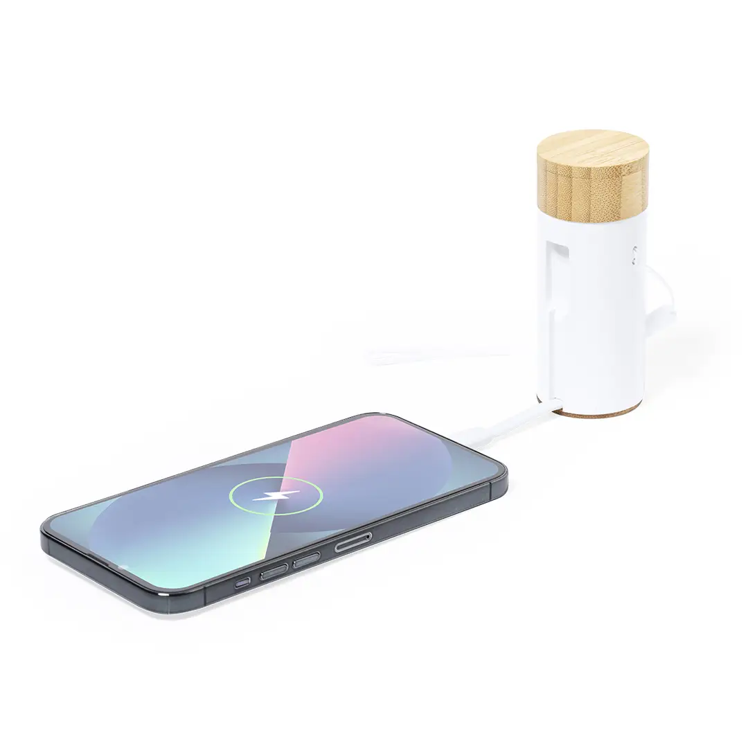 Power Bank Earphones