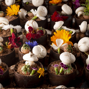 Local and zero waste caterer 7533